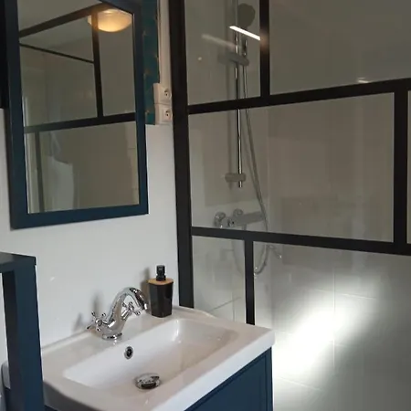 公寓 Les Hortensias 26 滨海圣洛朗